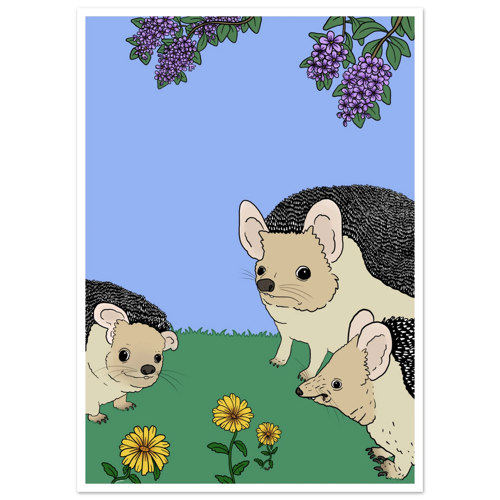 24af59aa-89d5-4d05-899d-2c3a6ac80bd6
