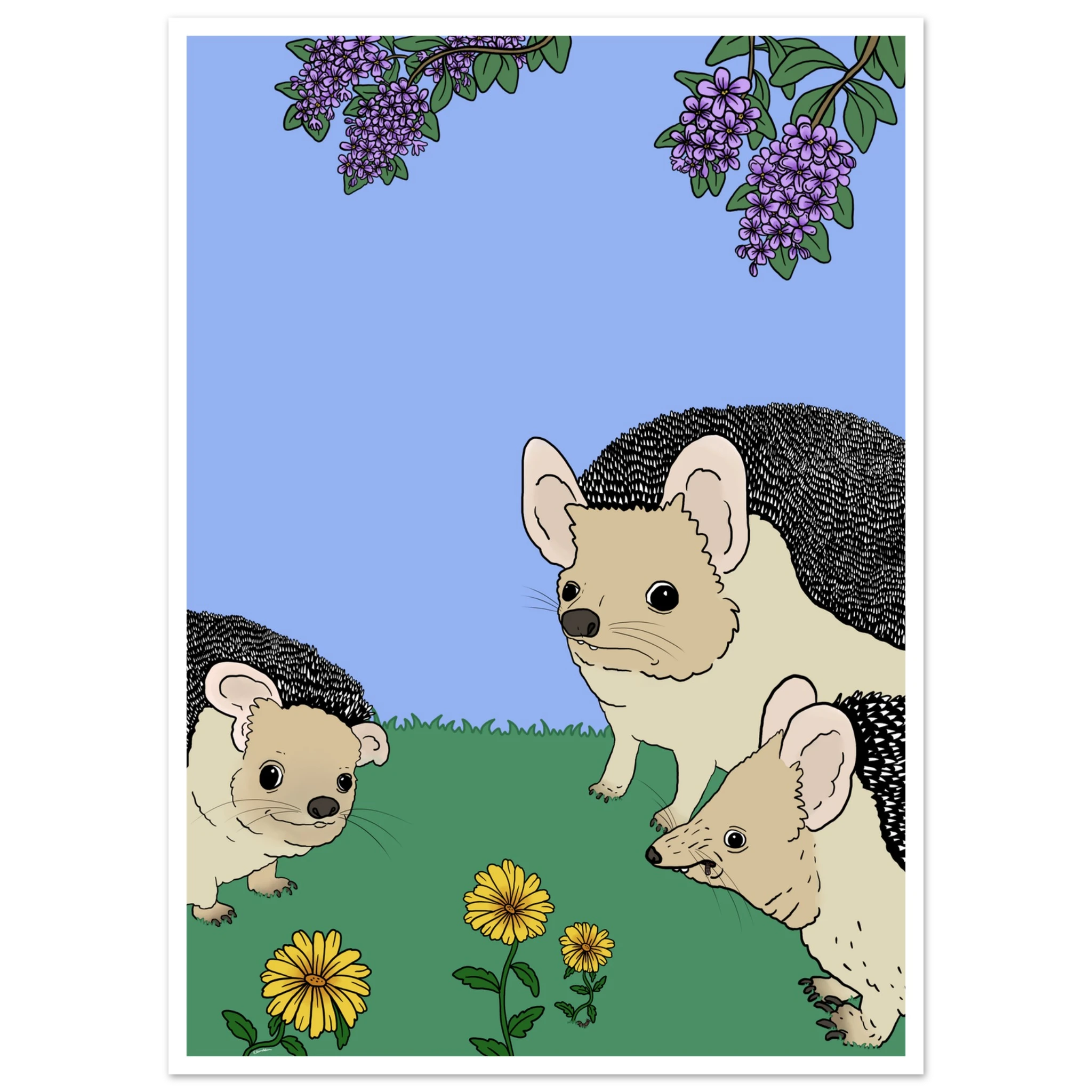 24af59aa-89d5-4d05-899d-2c3a6ac80bd6