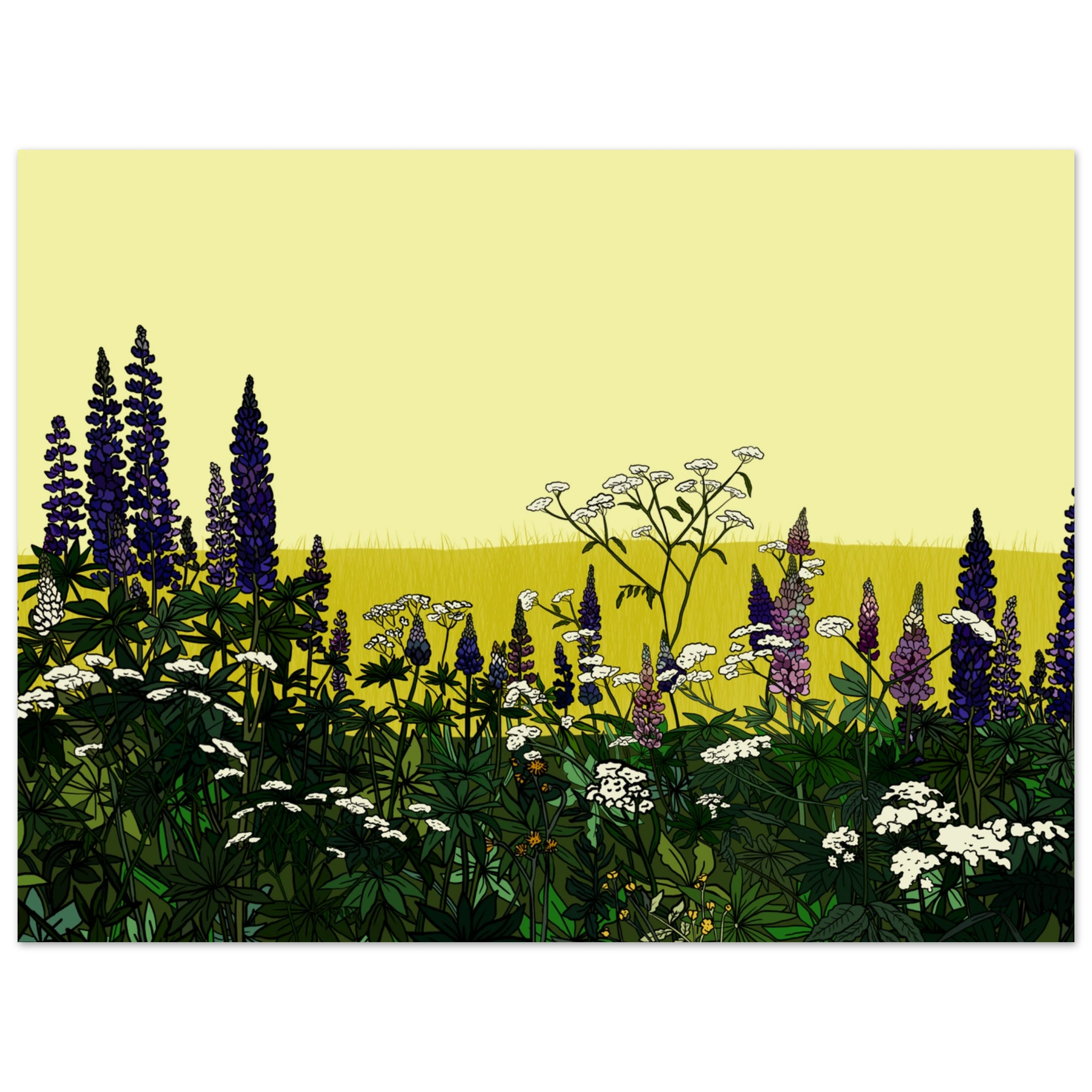 4337693d-b1b7-4f56-bdbd-48eaff725626