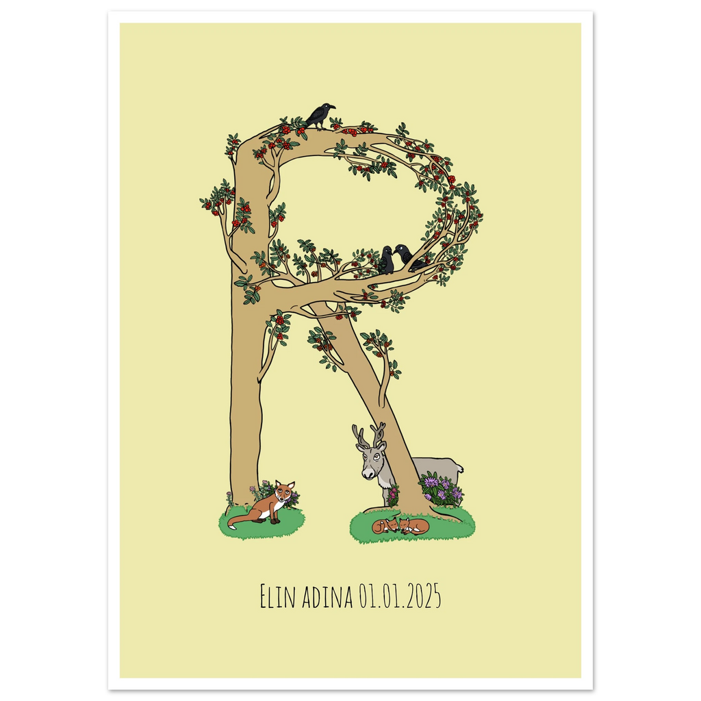 49727826-c27f-40ca-b06e-d69b8925c585