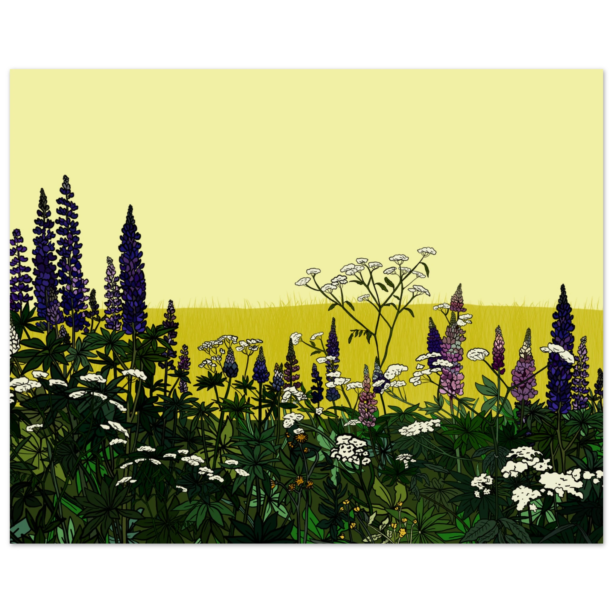 4fc50f02-fd70-42fd-9528-23230689a7a5