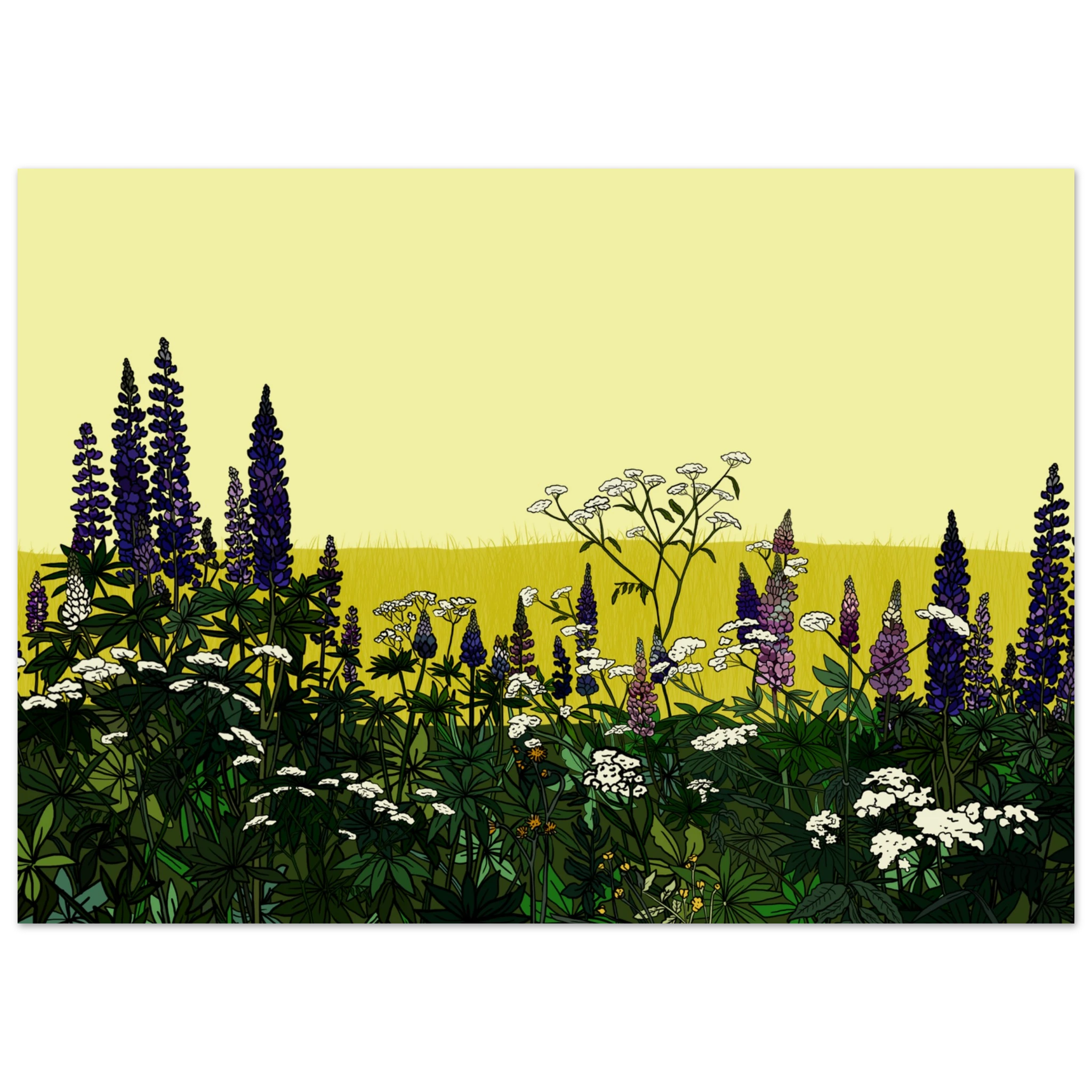 547b3ce6-1157-42bd-b54d-1e62f35a9f3d