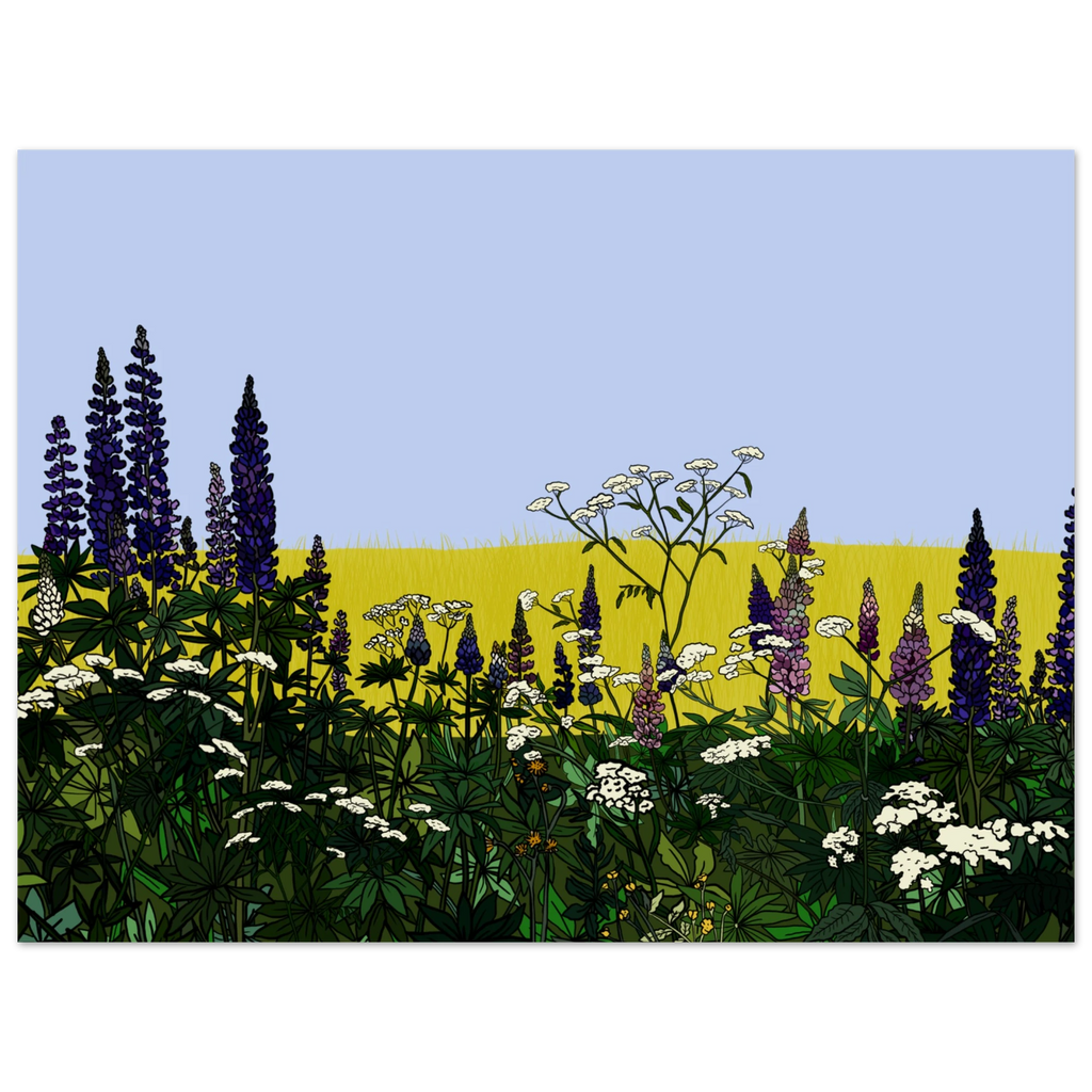 5aea81c4-5706-42f4-a46e-b1f6ff96d66b