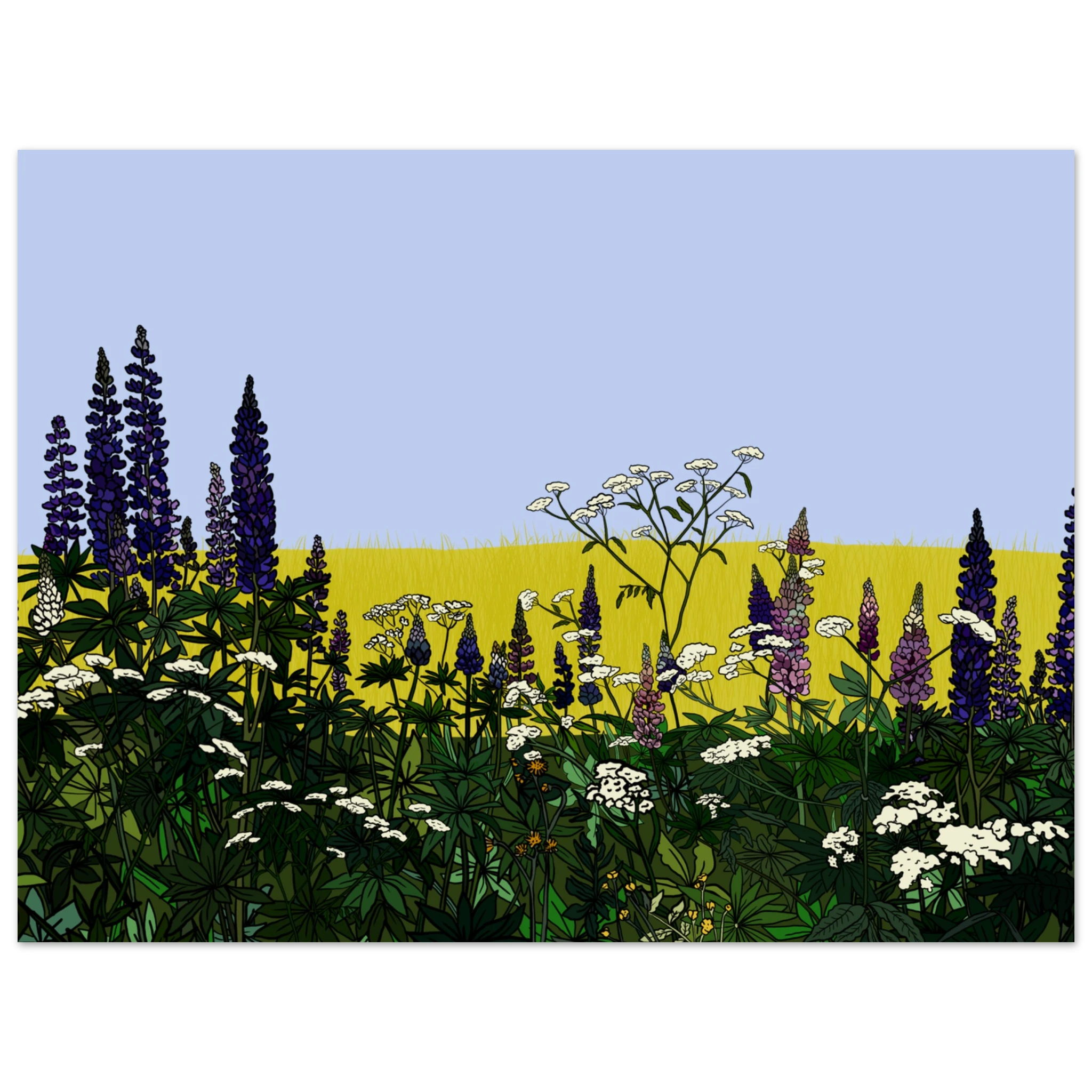 5aea81c4-5706-42f4-a46e-b1f6ff96d66b