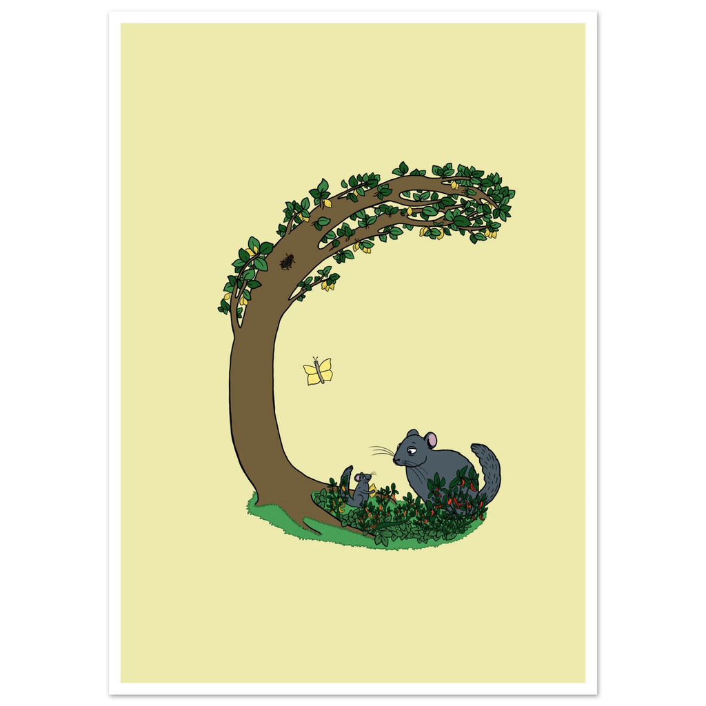 7409d666-0290-467e-9fcf-076d779e648a