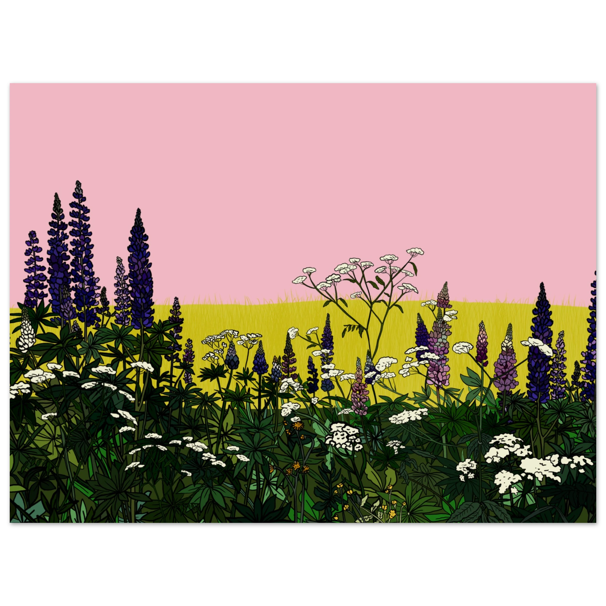 74854af1-8da9-42f7-aa4e-7d0a6c505395