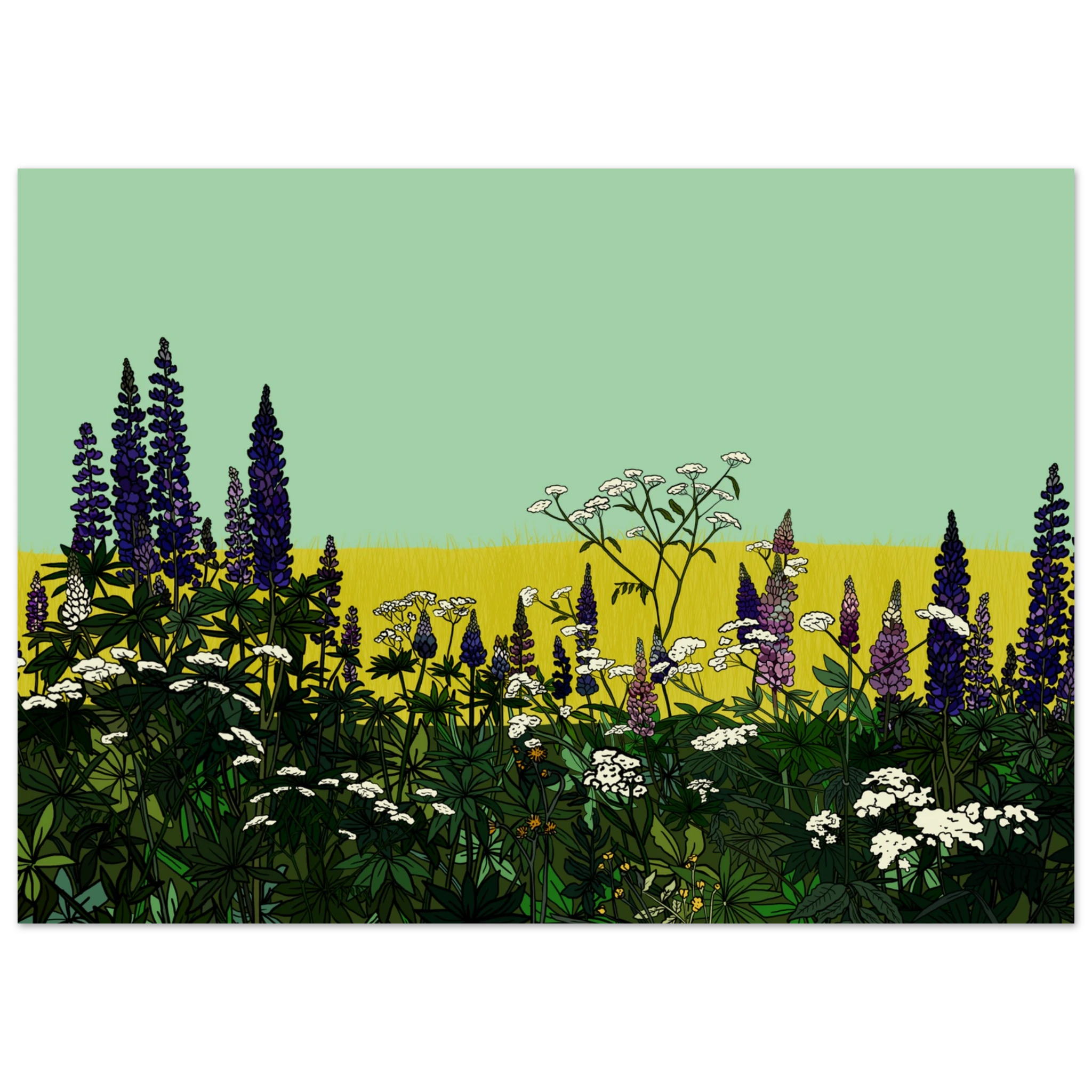 763ea03e-95fd-44e9-aa2a-8eb7a1421b24