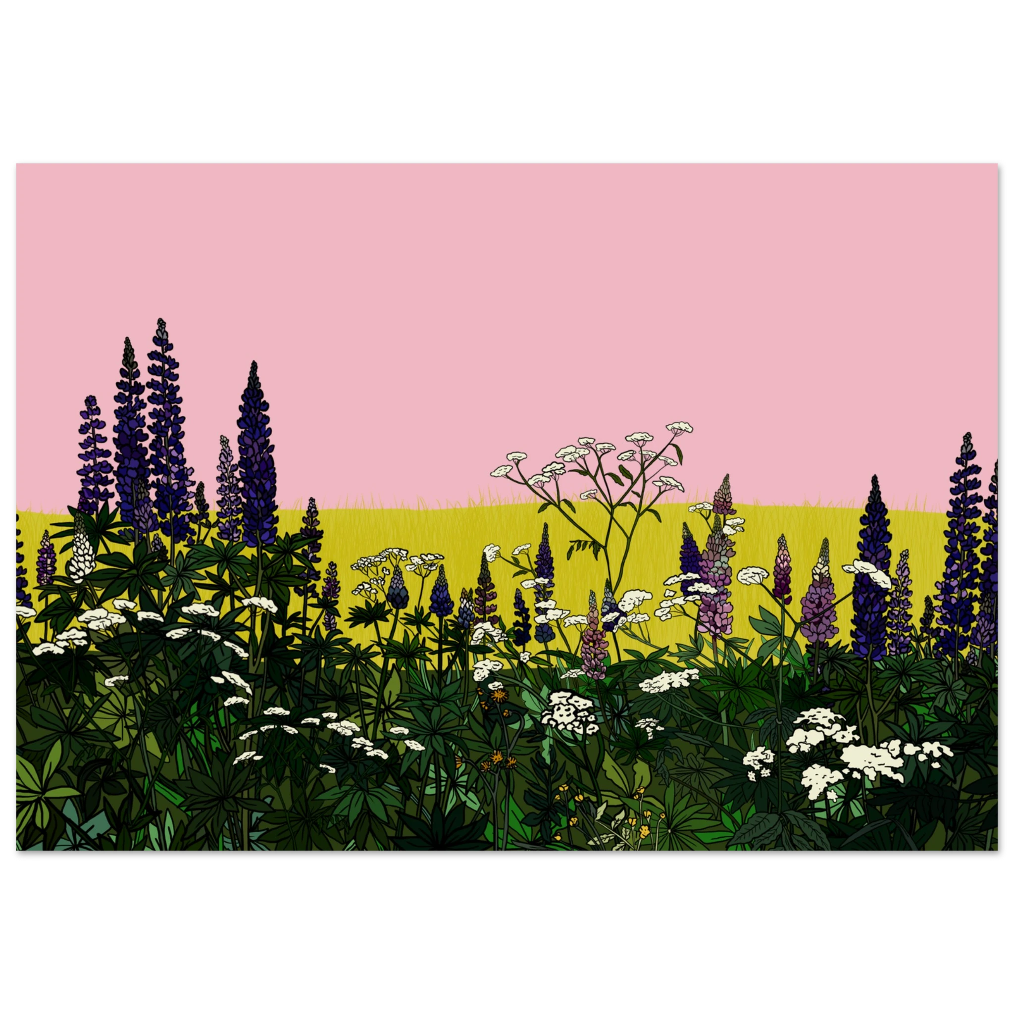 7ad3d029-f4cf-4dd4-92b2-f8e32f671aca