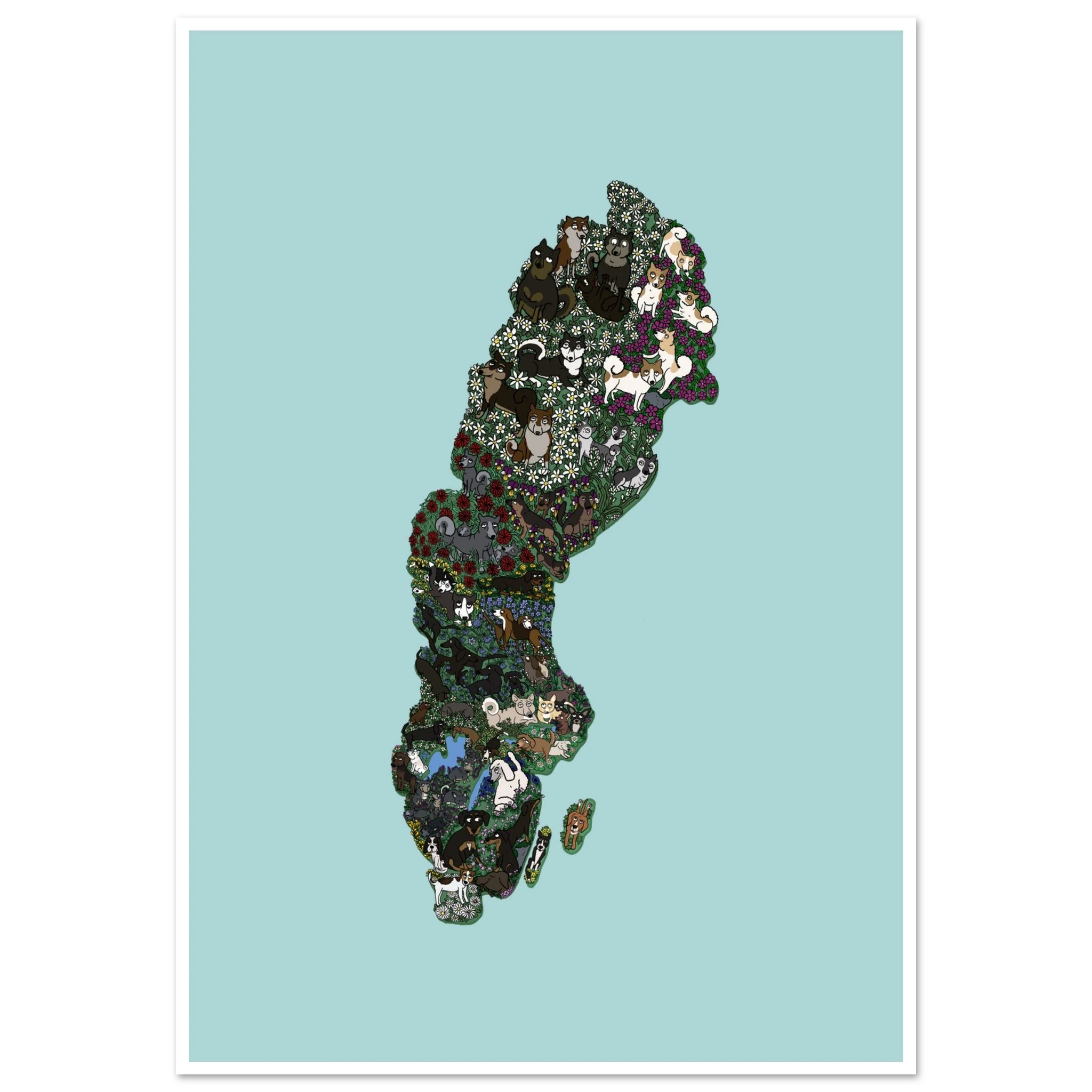 843386a0-ff62-4b66-8121-3792a6b15005