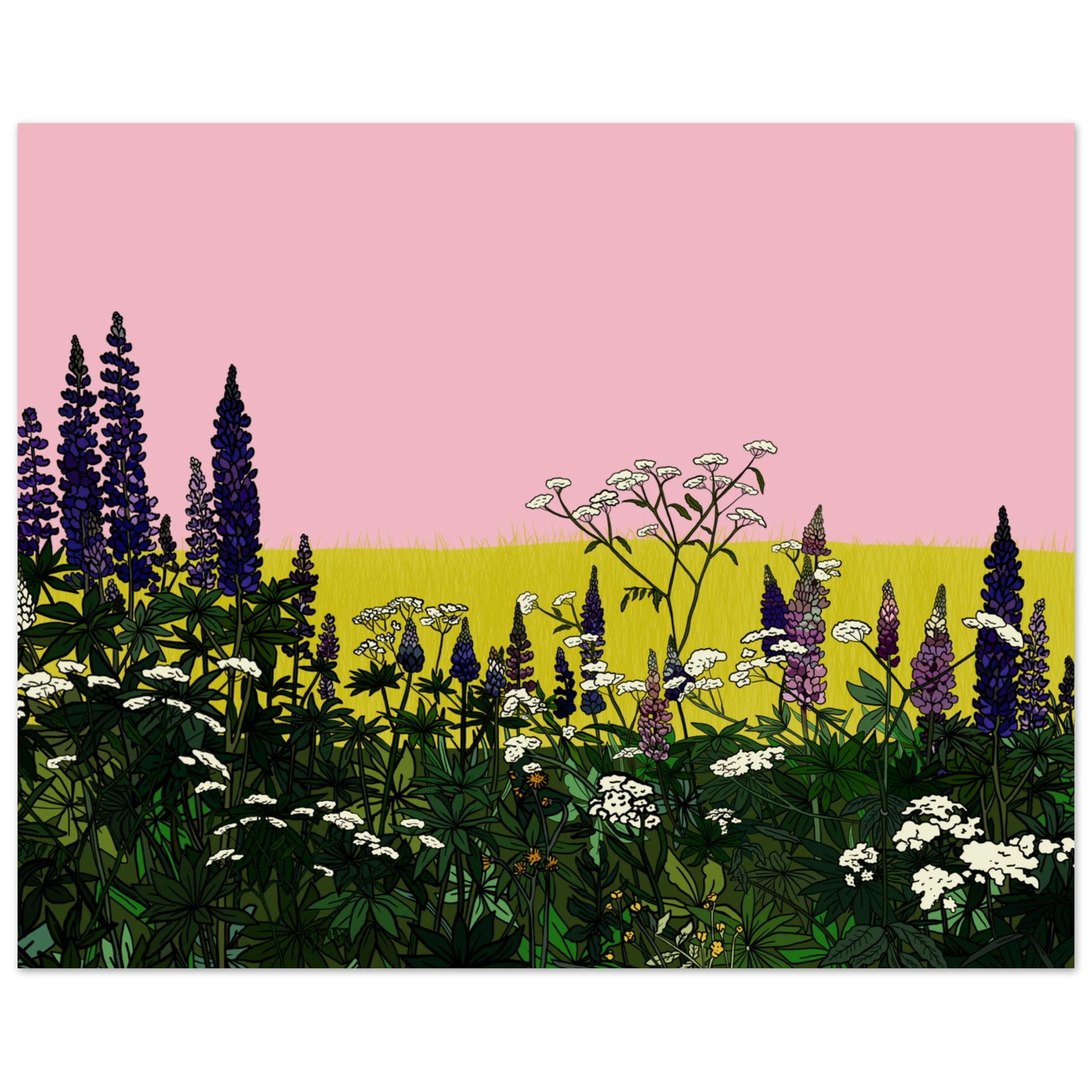 86826e72-115e-4b78-8e20-89d3fe678c37