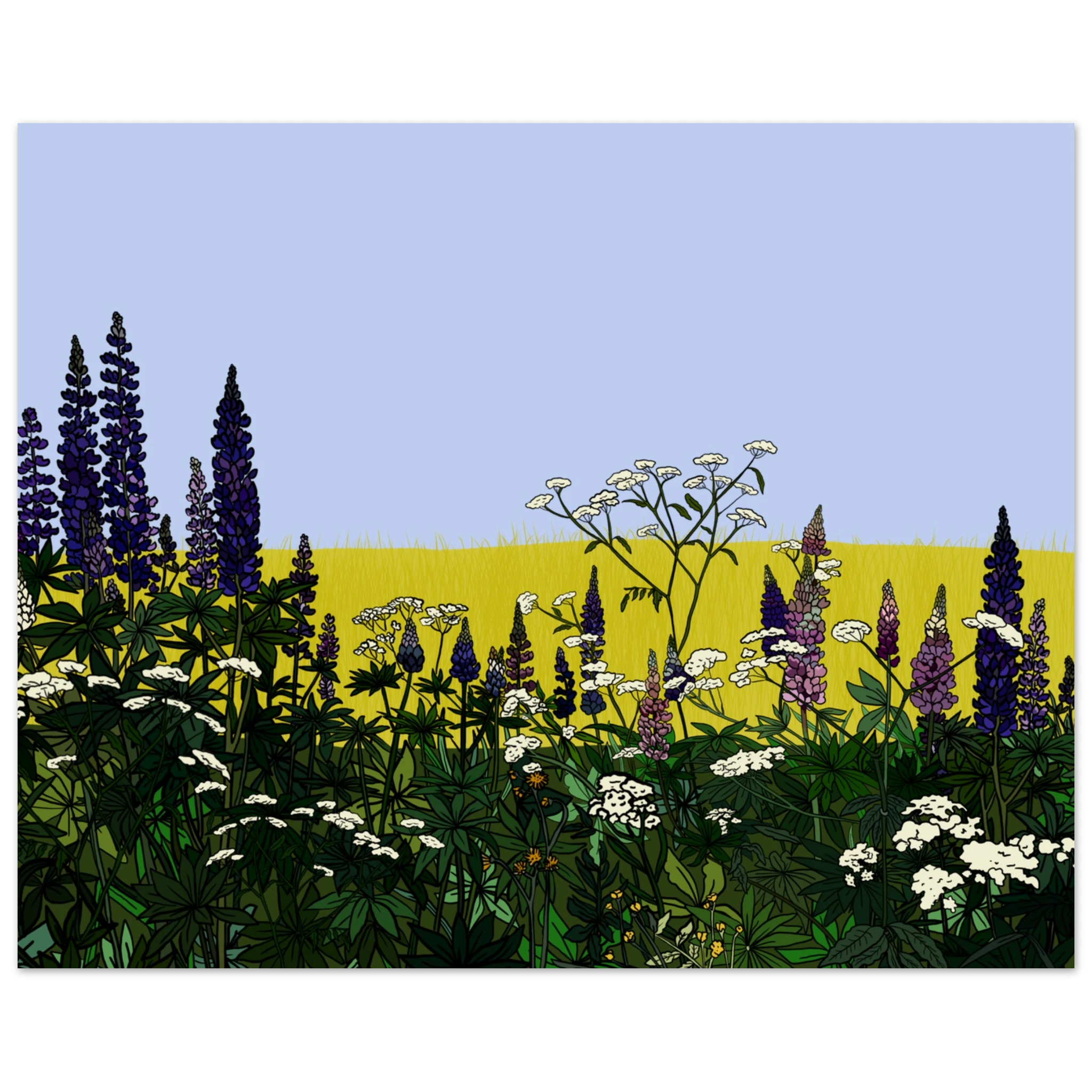 8e884ea4-1a4a-4c87-97ae-3c9cf87a06bf