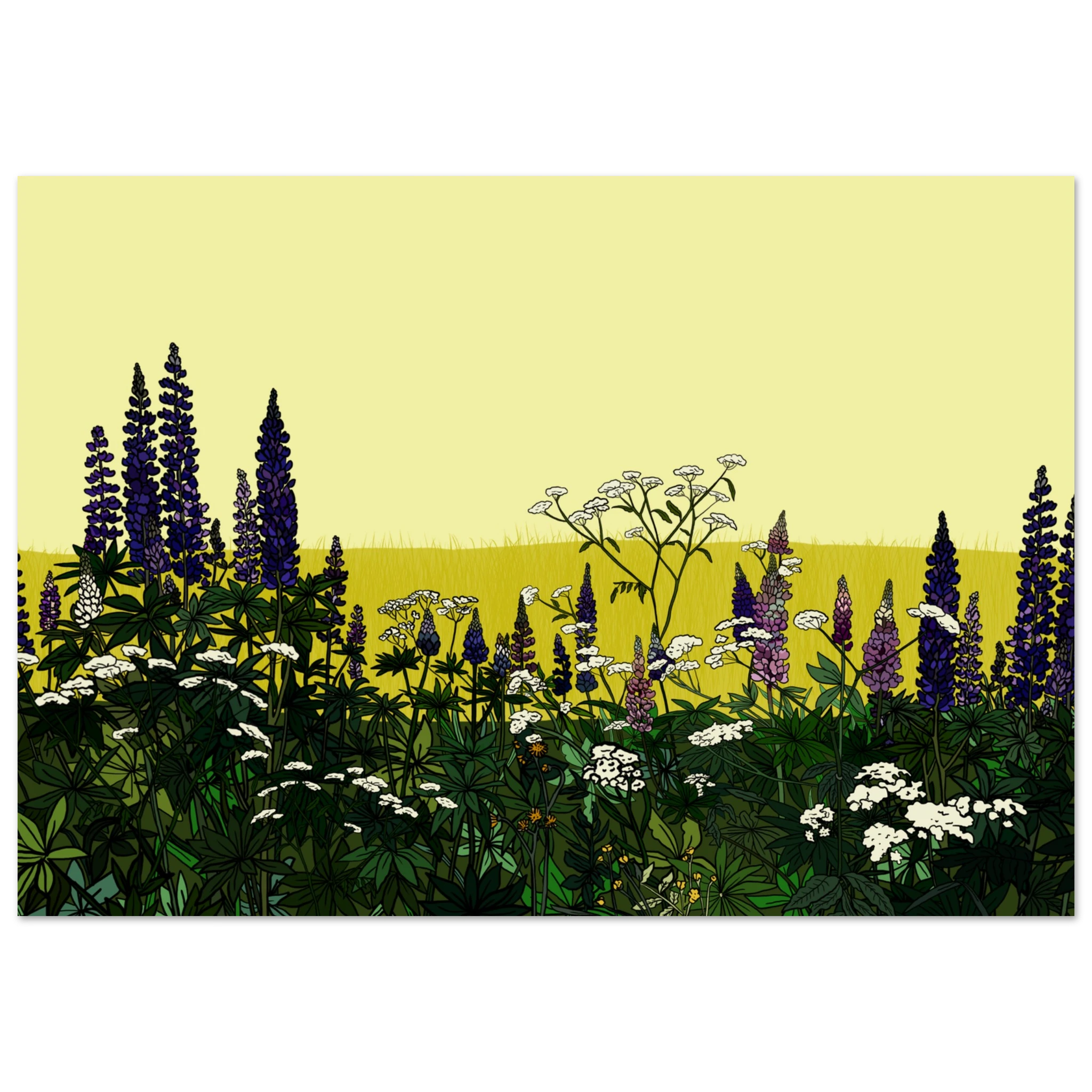 8fda94fc-3551-406e-886c-0e869fe65ef4