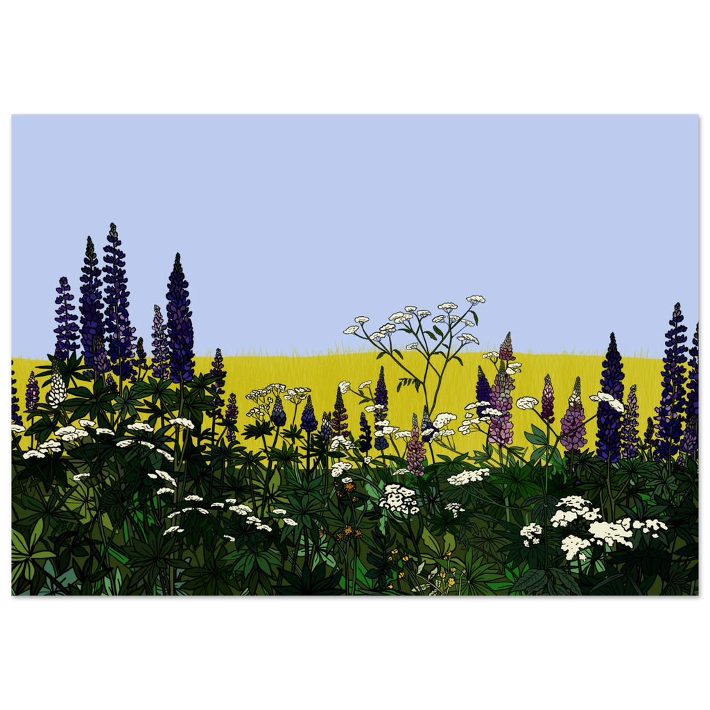 934dc21e-dff0-4b42-8cd2-bb80ab4912a1