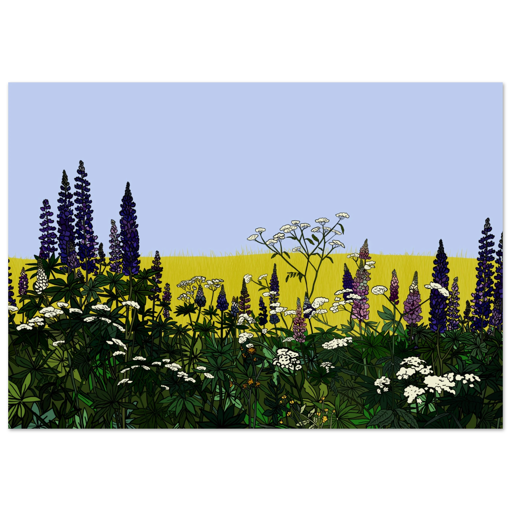 934dc21e-dff0-4b42-8cd2-bb80ab4912a1