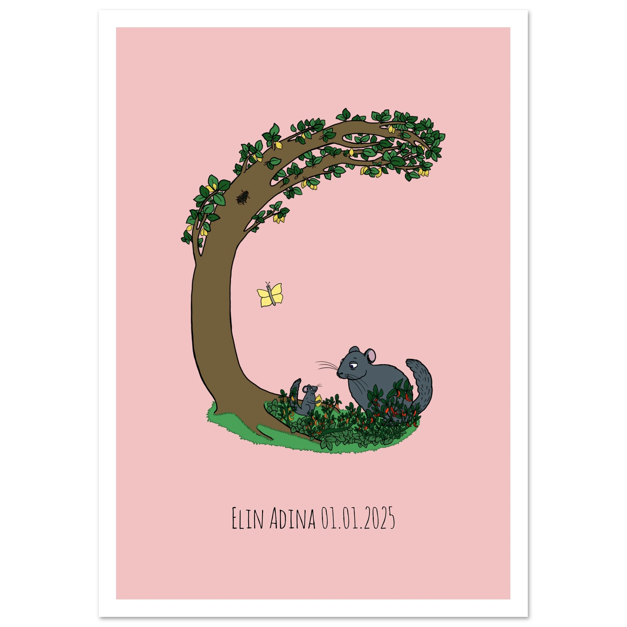 97b0fed7-035c-4dd0-97e4-790caa0b3e1c