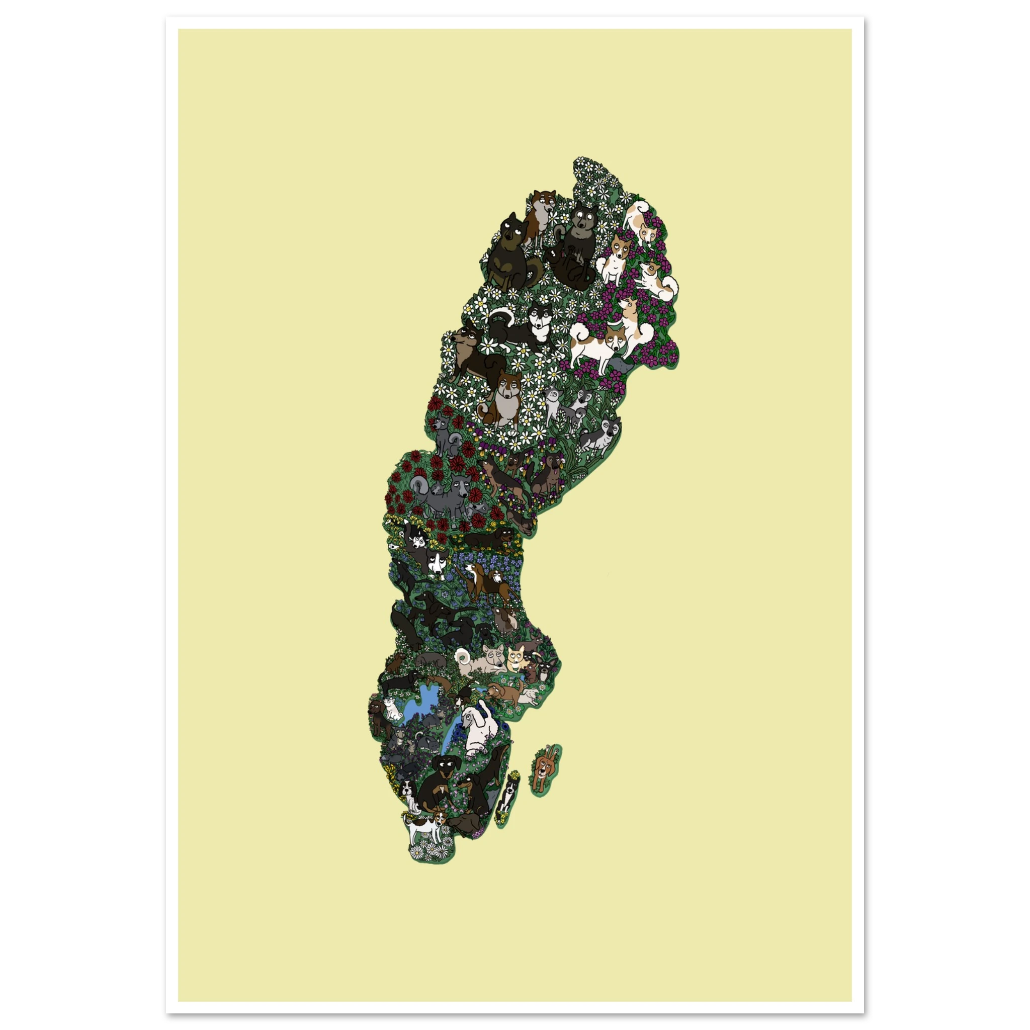 97e5f250-3a02-49a1-b6c2-a2c8916f7907