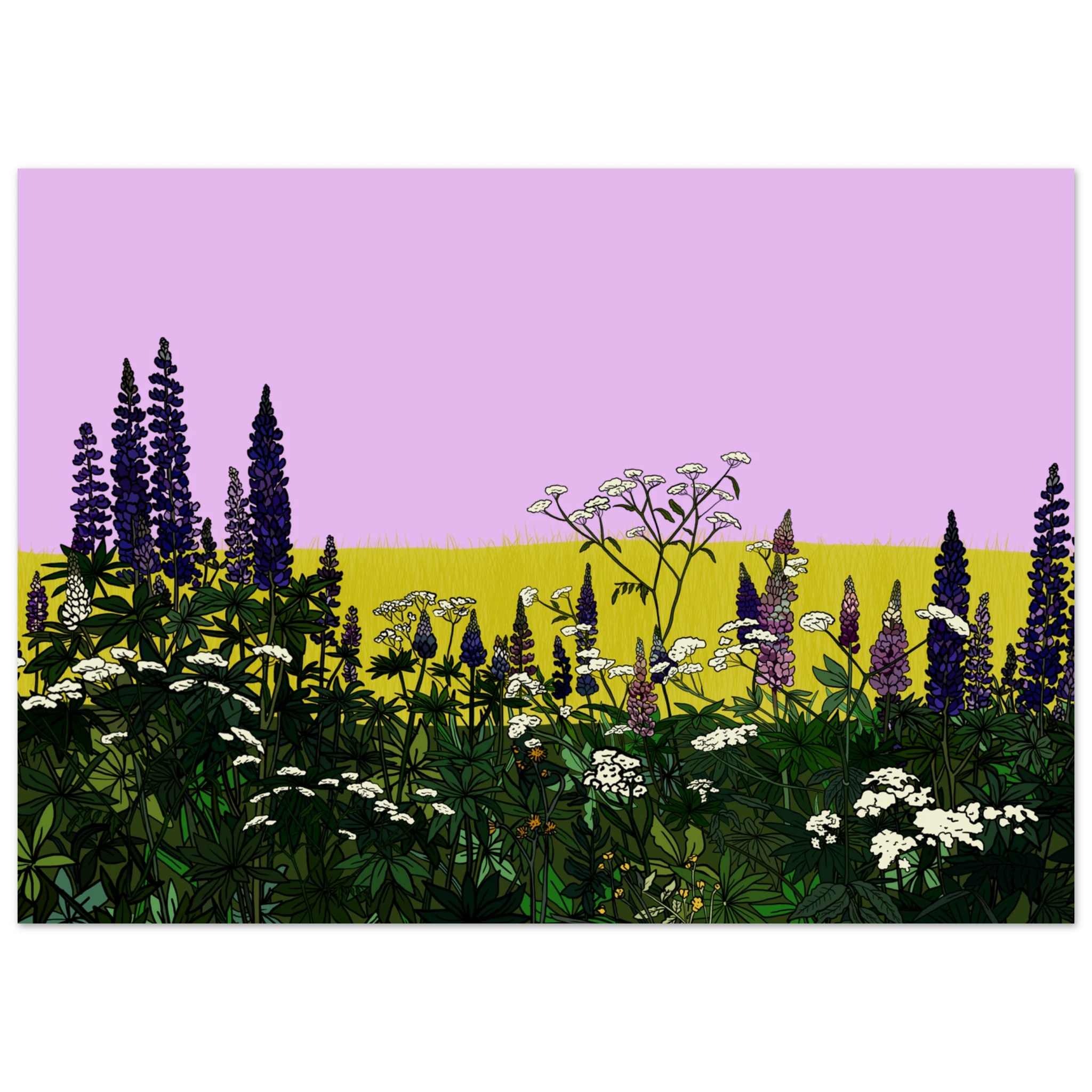 a84334b5-feea-4385-867d-2b645d42fe2e