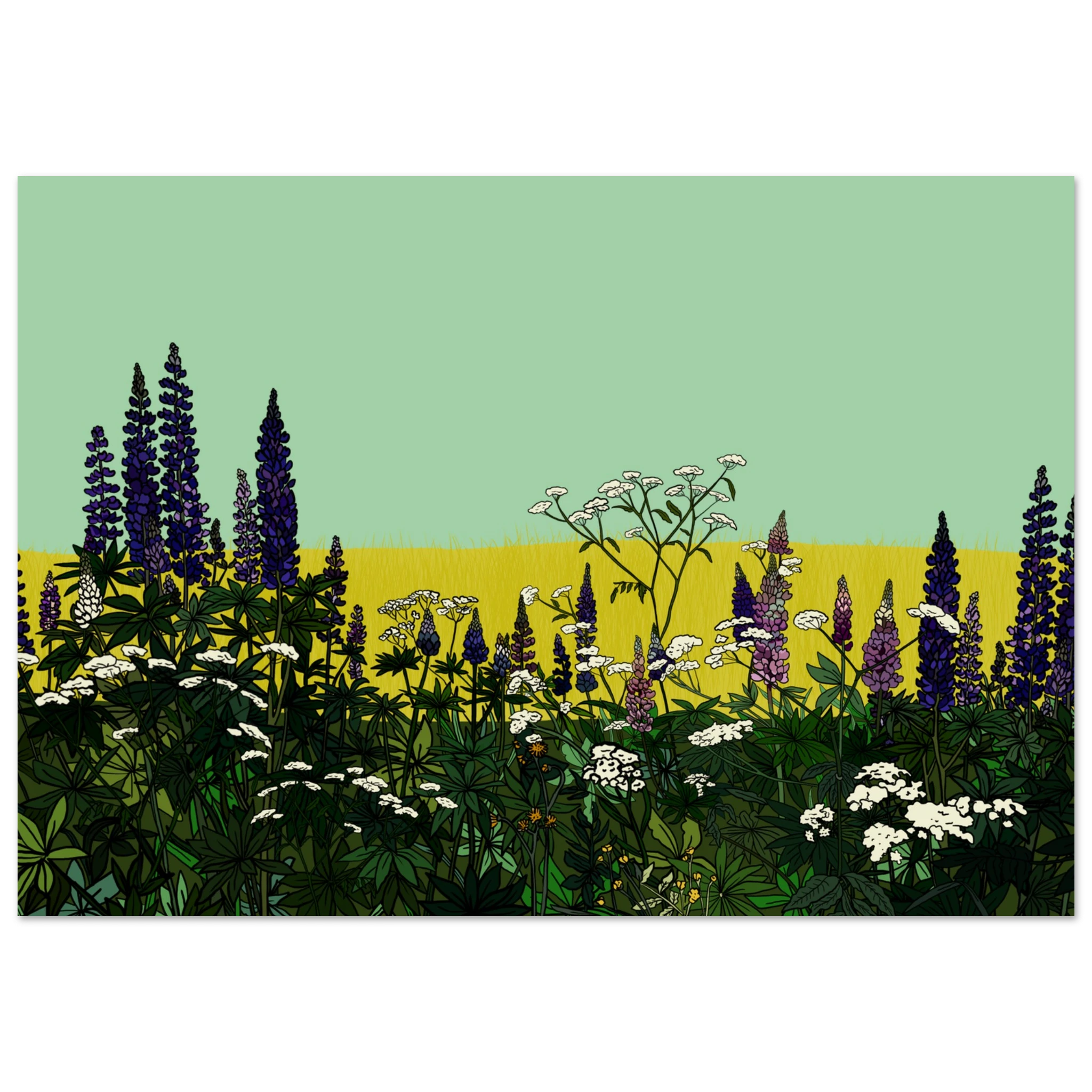 ac562351-4c5f-4e7d-b8a5-8d3da789b684