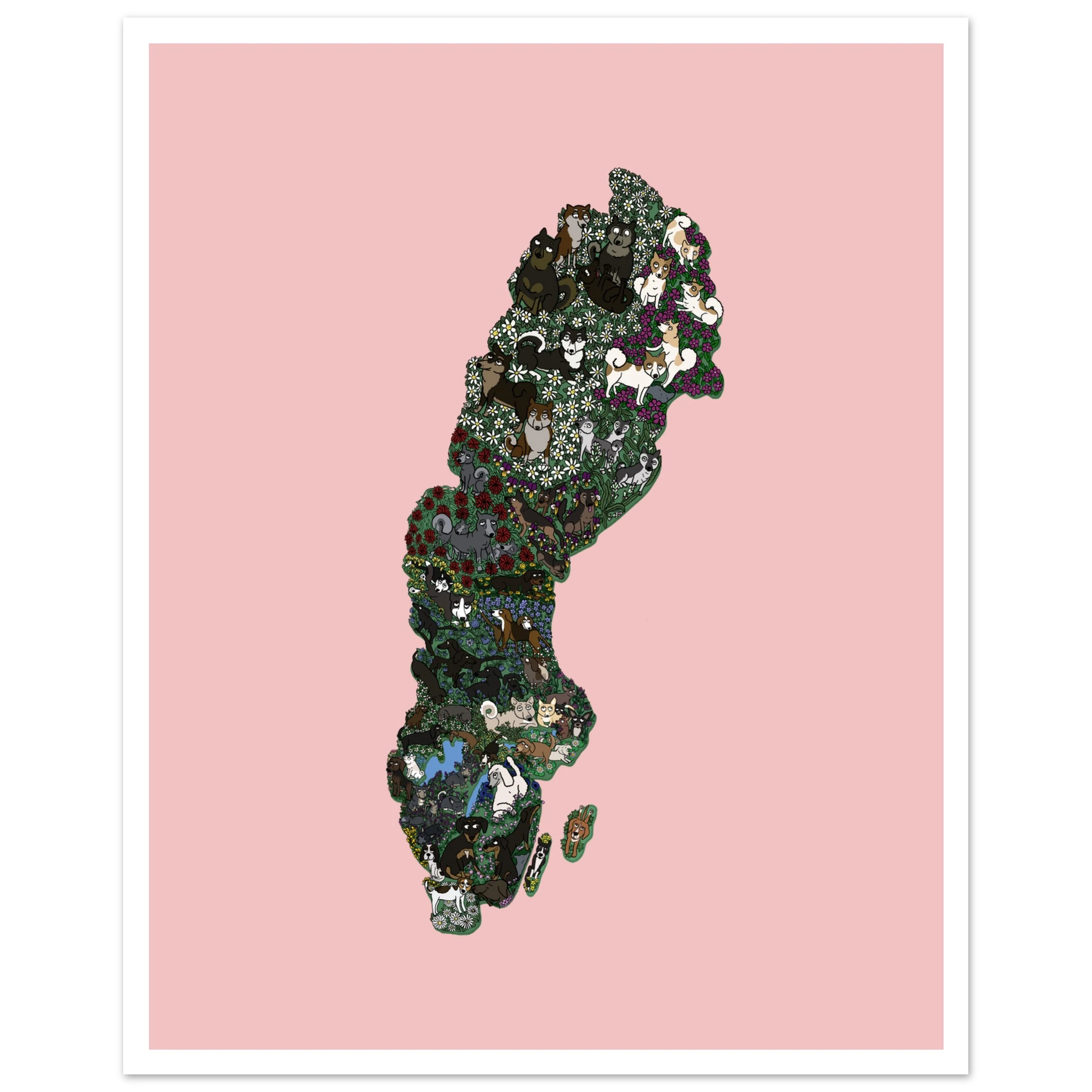 ac7a3ae6-fb9d-4a5b-9684-7fc4d766677d