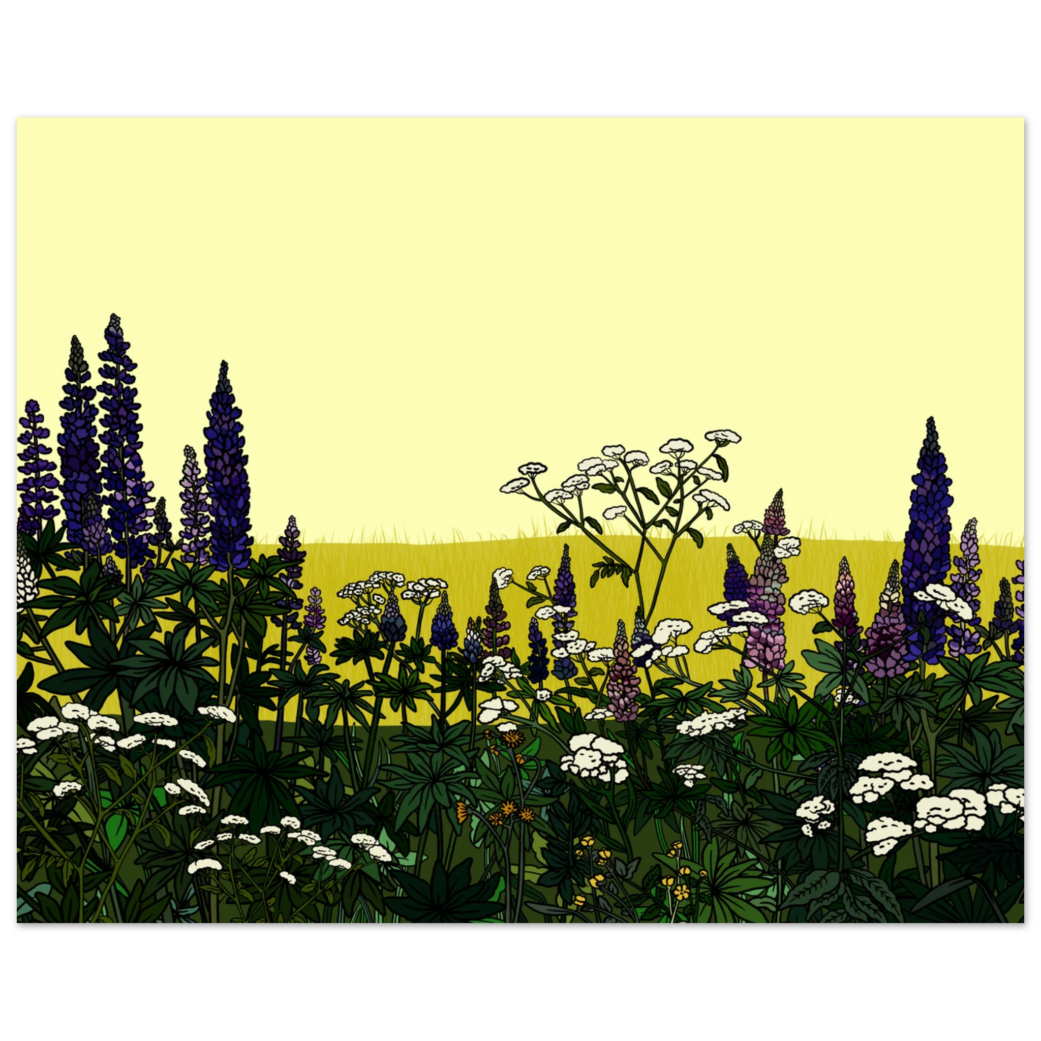 ad6a70c1-1e9b-4ea2-a539-e849f99ca353