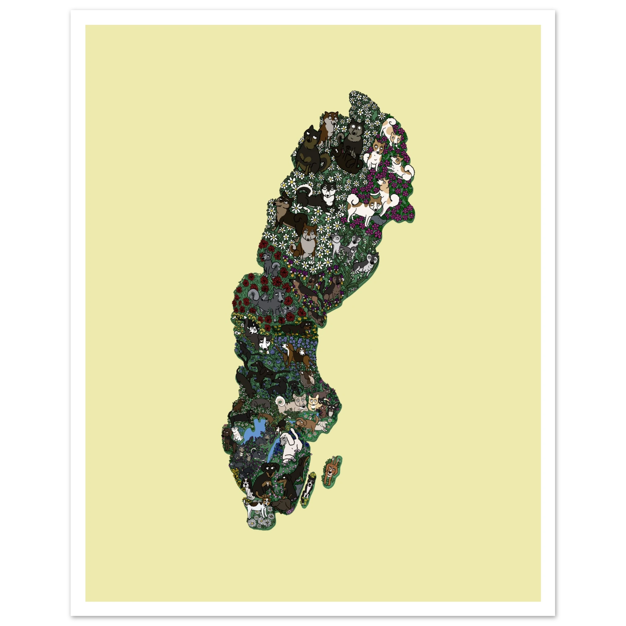 adafbab2-a48d-4a74-b482-5f99d5d47715