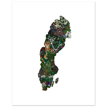 ae10cc04-aa43-49f3-a61c-bfbb6220a159