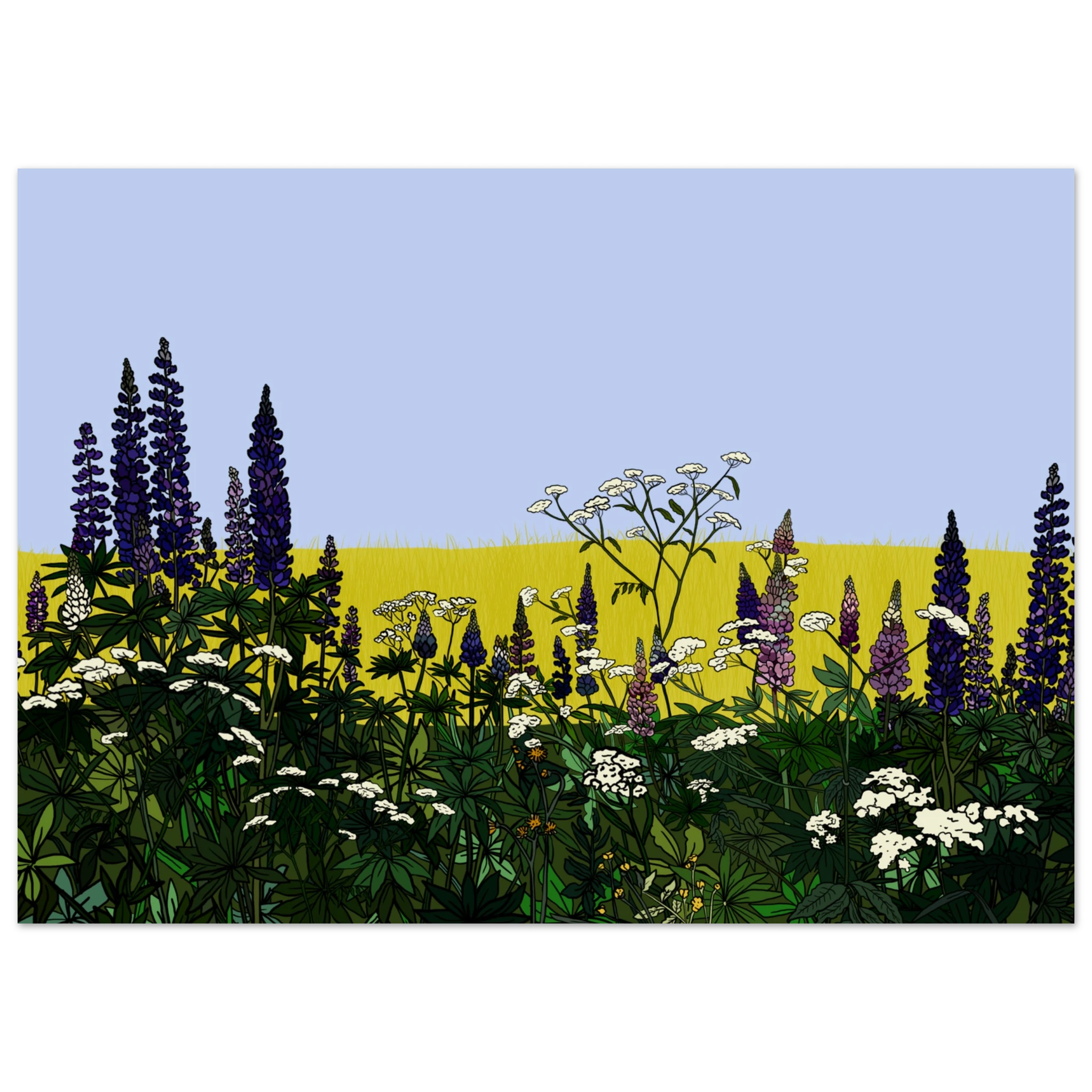 b115721d-b8f3-4e66-bc96-ee865269cd40