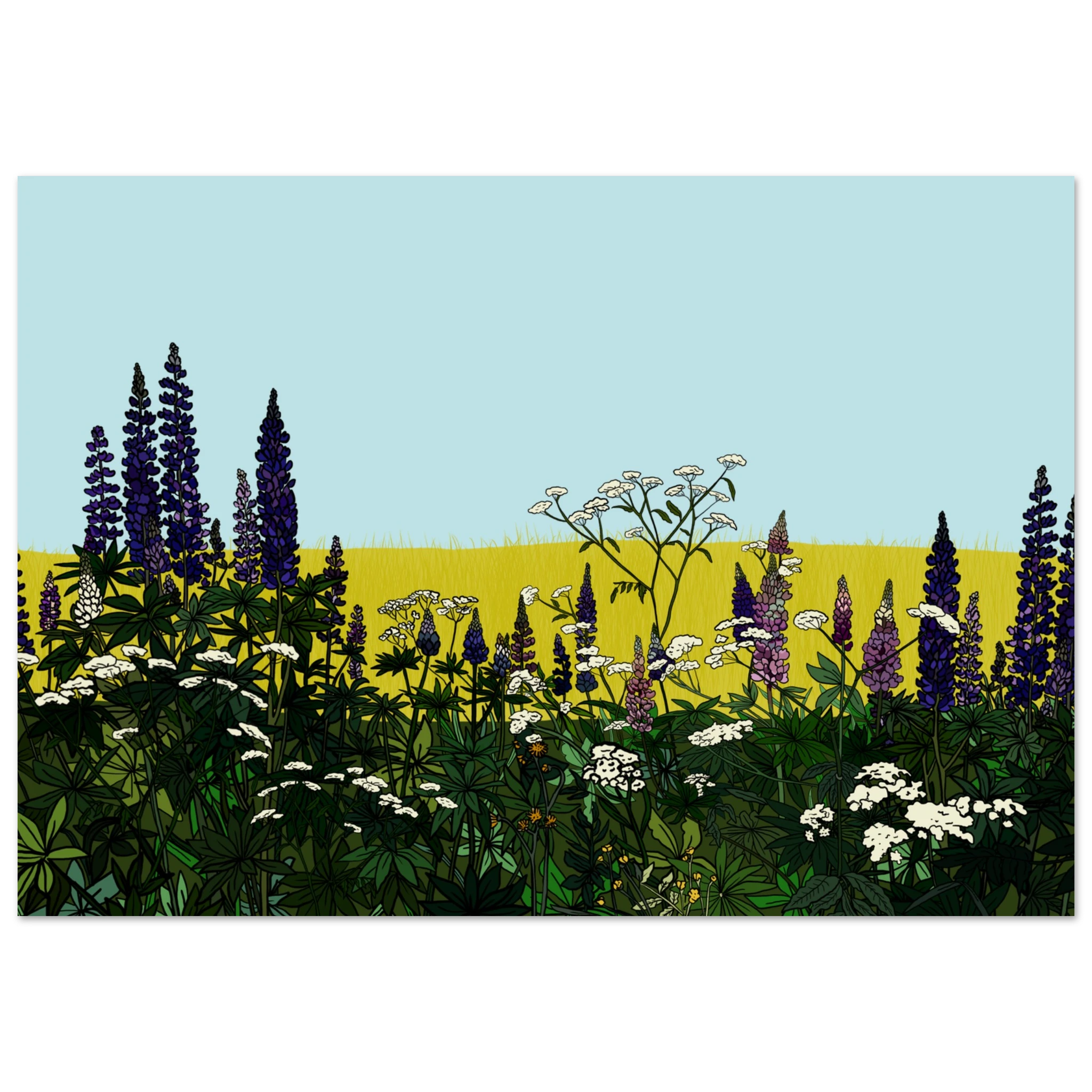 b203b29a-4ae3-4397-ad3c-e4e3cca3d789