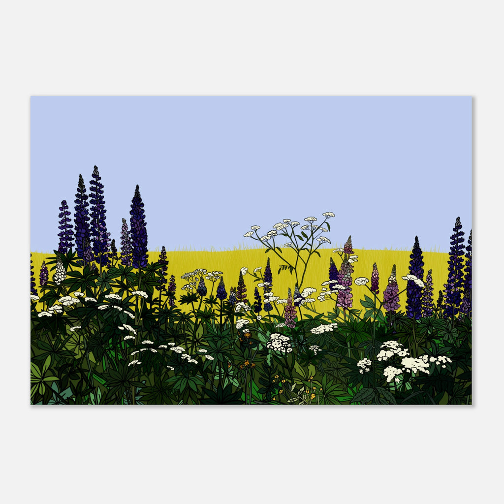 c5479cdf-8c40-4743-91c5-1adfa2237313