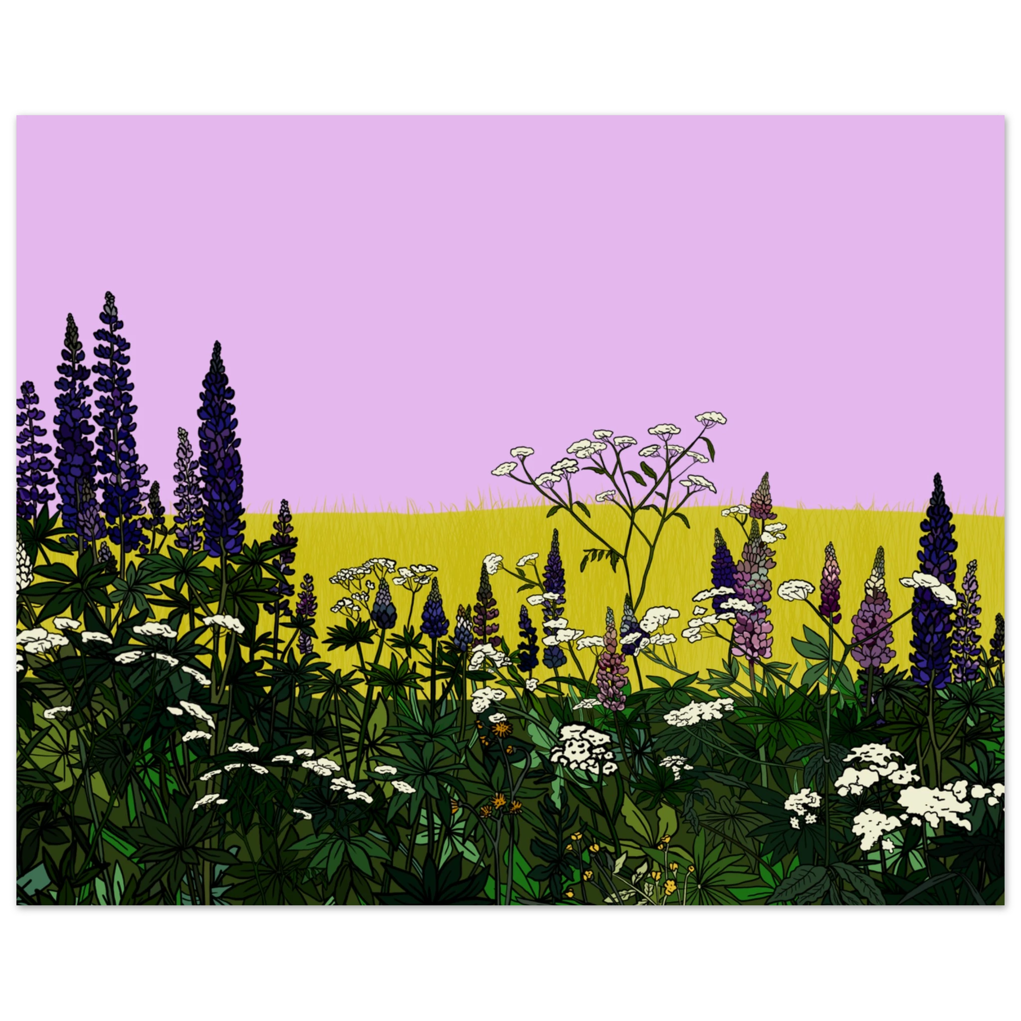 d77ff0b0-c49f-4502-9083-88debeb30a20