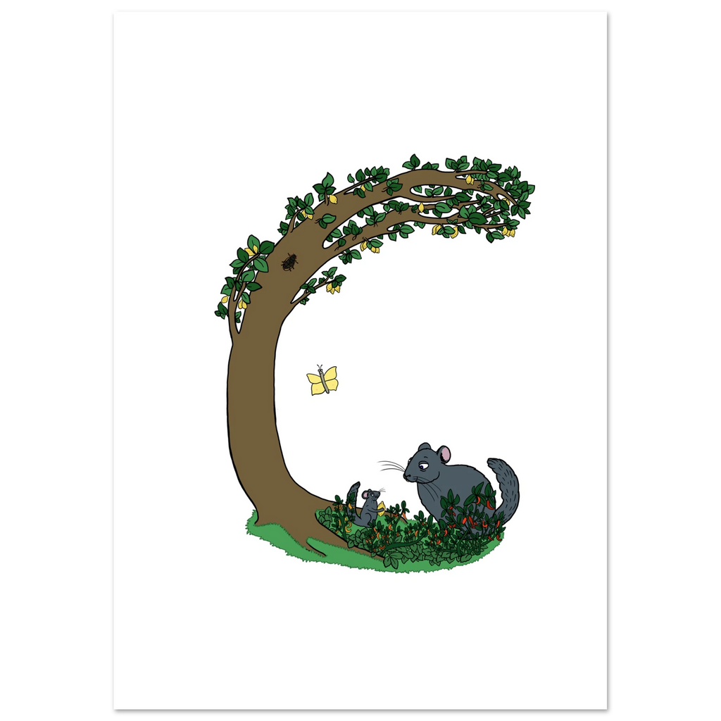 e06ebf0e-45a9-436c-9dbb-c080d954dd42