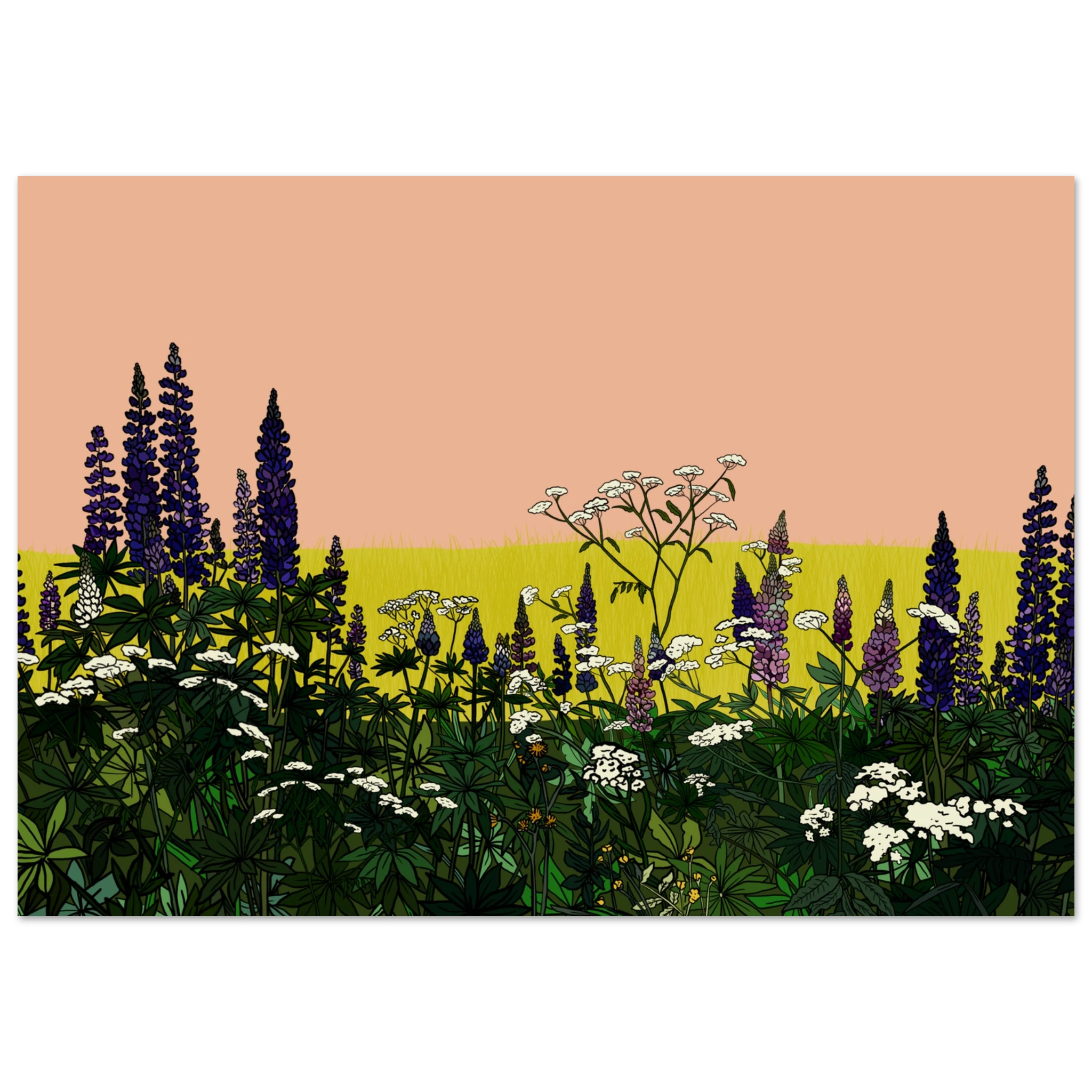 e2239f95-f140-4efa-bf82-bfcfa4bbcfc5