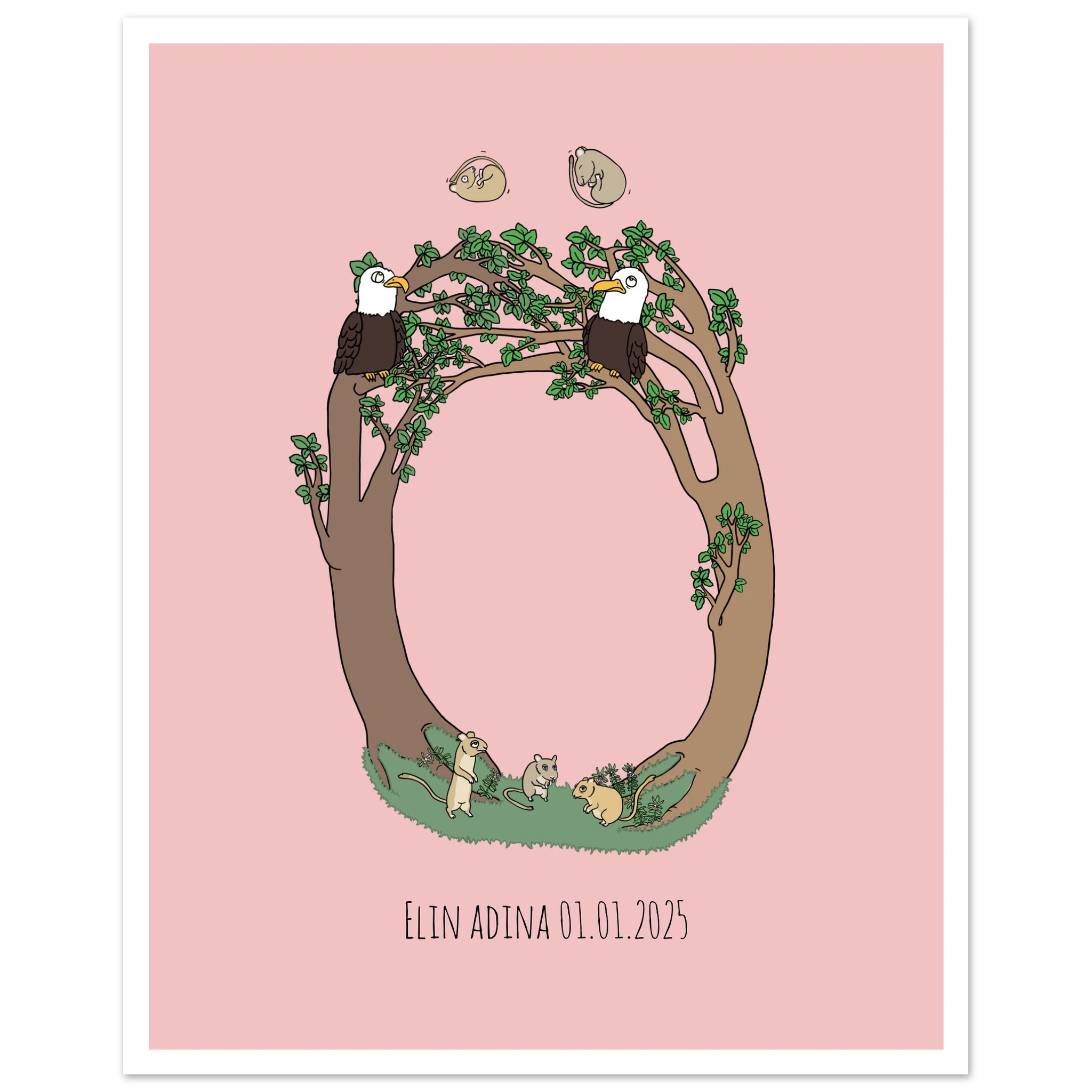 e2526dec-1090-438b-b17c-0a3a05edf754