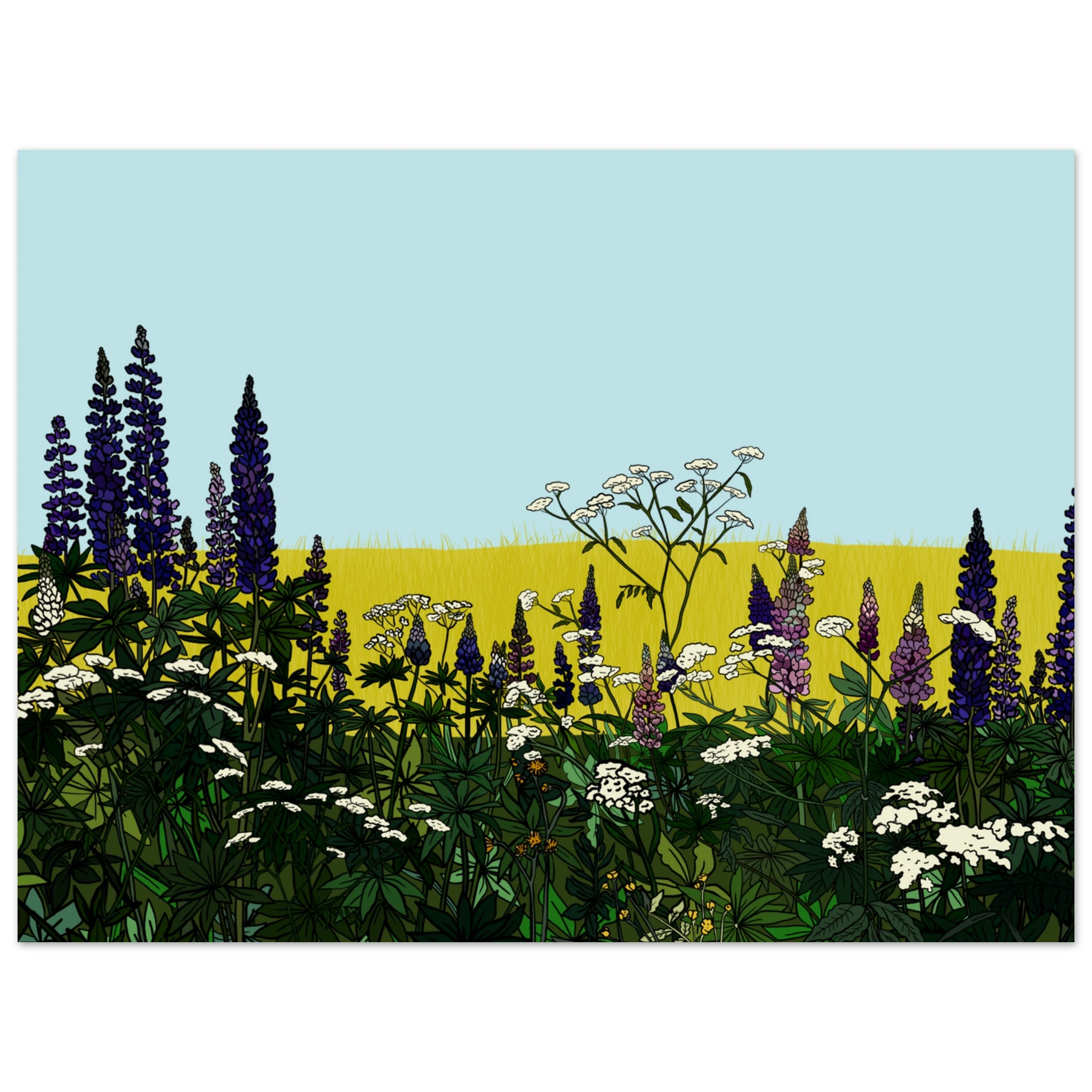 ef122505-eff5-46b2-9c9d-cc6f051105b3