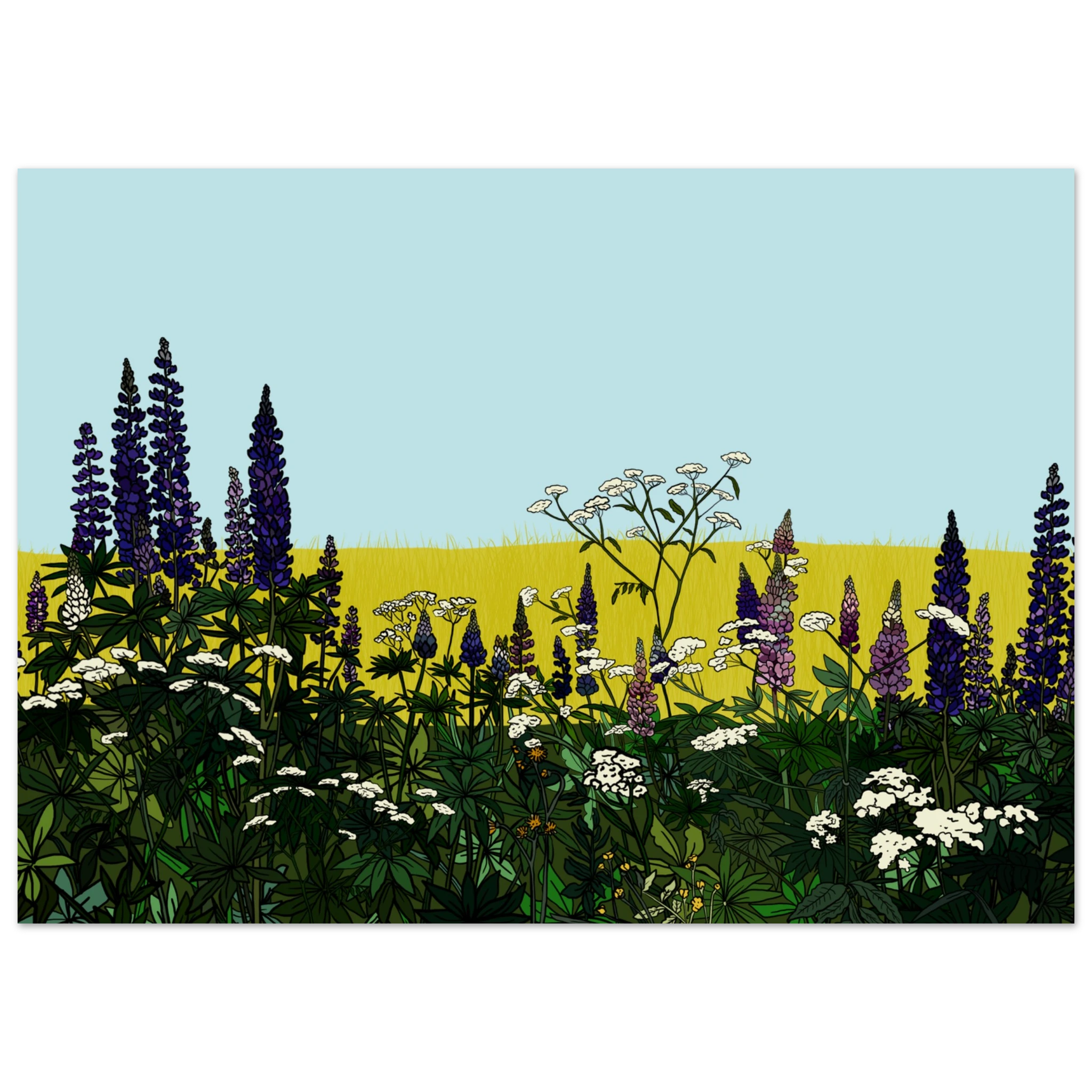 fbef820c-f896-4323-8922-cad608d2ff68